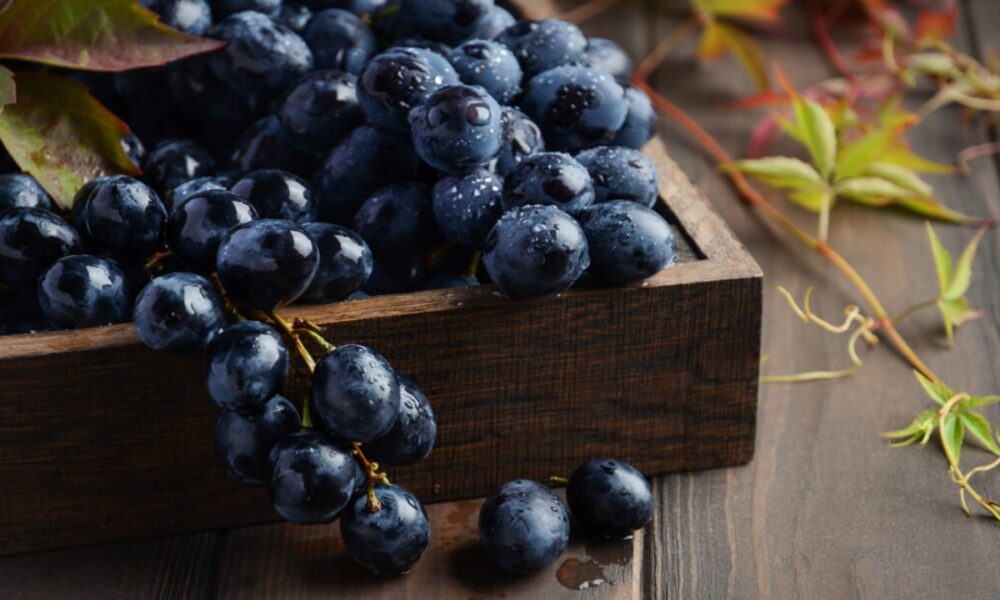 The Health Benefits And Outcomes Of Black Grapes