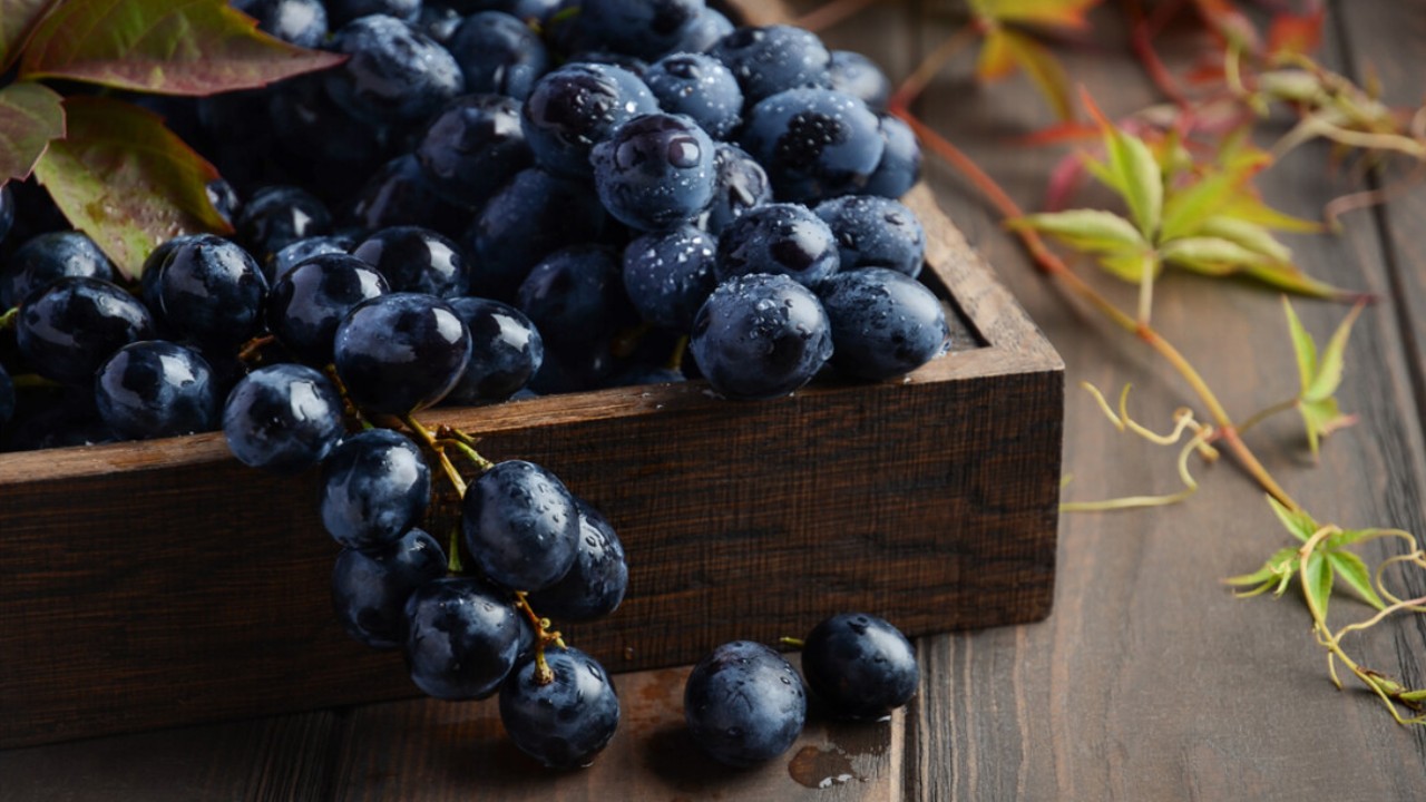 The Health Benefits And Outcomes Of Black Grapes