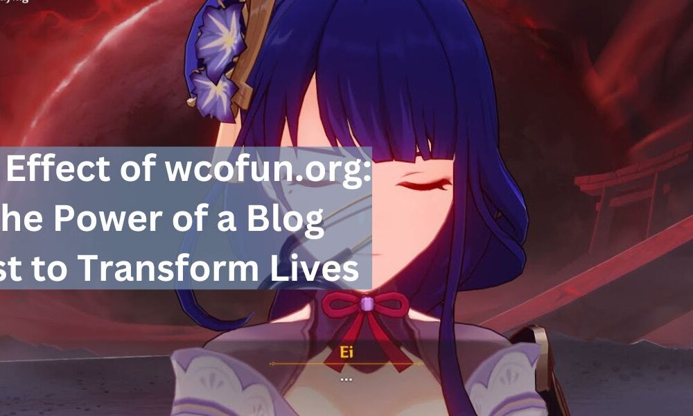 The Effect of wcofun.org: The Power of a Blog Post to Transform Lives