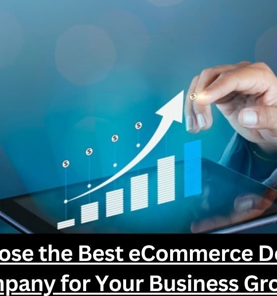 eCommerce Development Company