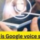 What is Google voice scam