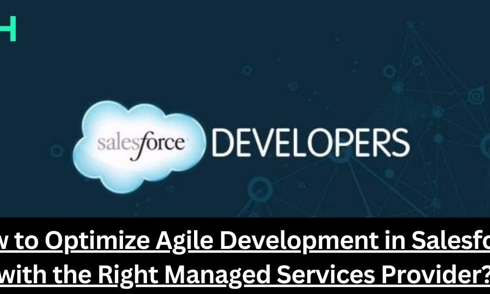 Salesforce Development