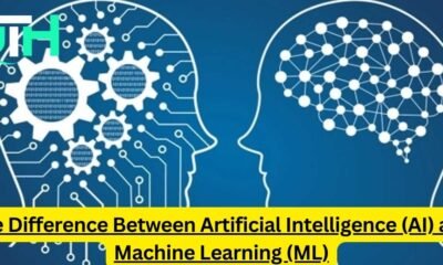 The Difference Between Artificial Intelligence (AI) and Machine Learning (ML)