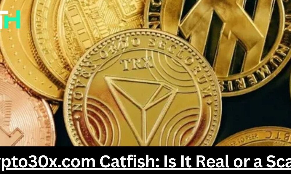 Crypto30x.com Catfish