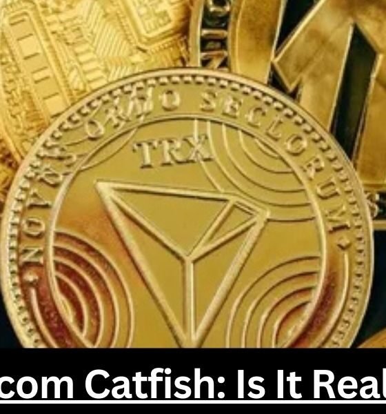 Crypto30x.com Catfish