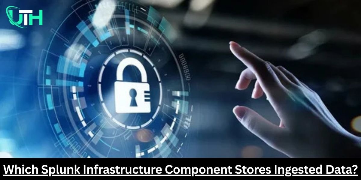 Which Splunk Infrastructure Component Stores Ingested Data